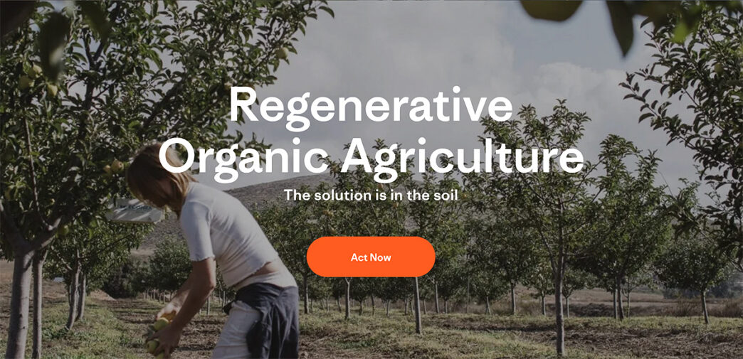 Patagonia practica el retail regenerativo