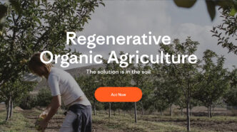 Patagonia practica el retail regenerativo