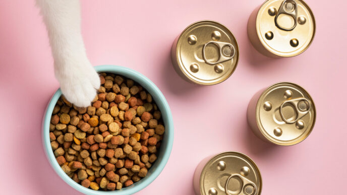 pet food España